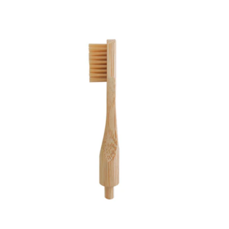 Recargas Escova de Dentes
