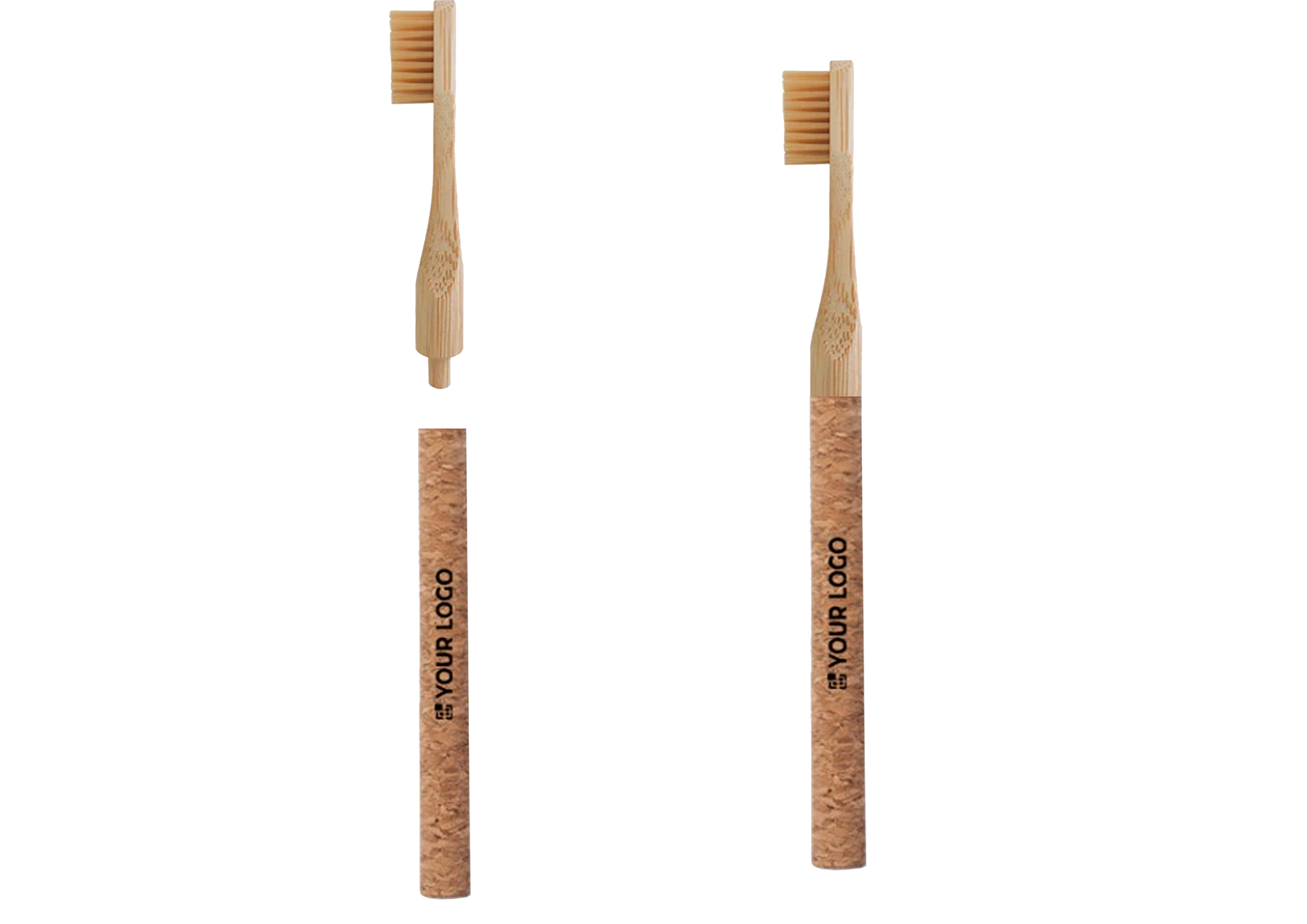 Compromisso ecologico das escovas dentes cortica